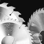 Popular Tools Rip & Gang Saw, Smith Sawmill Service
